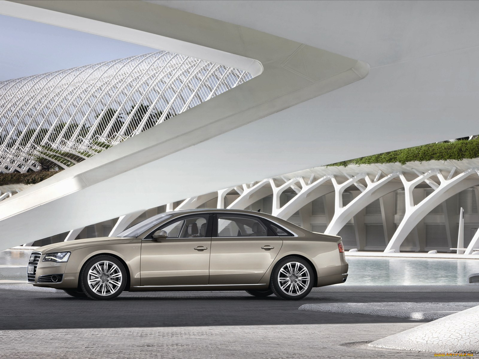 , audi
